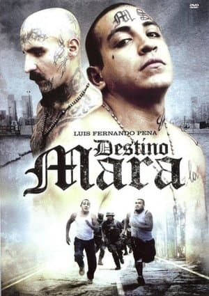 Destino Mara streaming