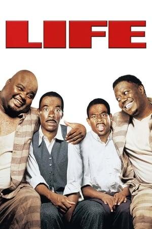 Life streaming