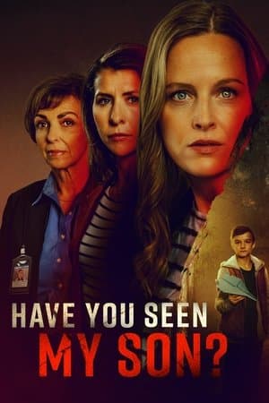 Have You Seen My Son? streaming