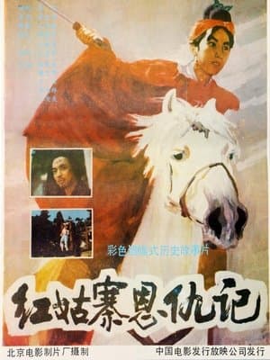 红姑寨恩仇记 streaming