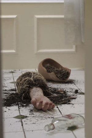 Seeds of Love streaming