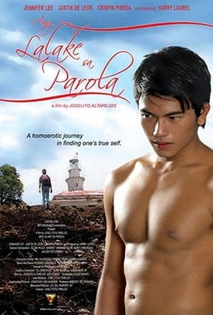 The Man in the Lighthouse streaming