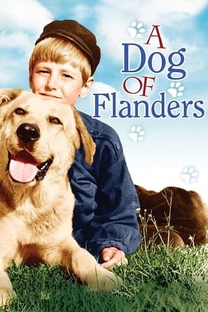 A Dog of Flanders streaming