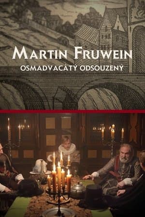 Martin Fruwein osmadvacátý odsouzený streaming