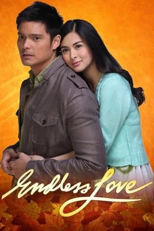 Endless Love streaming