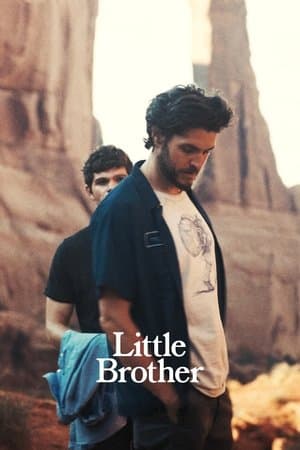 Little Brother streaming