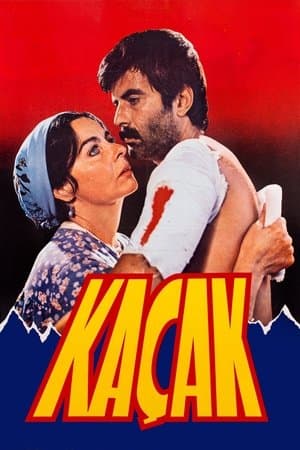 Kaçak streaming