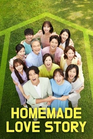Homemade Love Story streaming