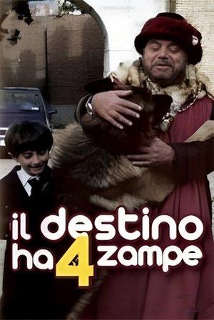 Il destino ha 4 zampe streaming