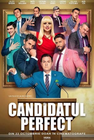 The Perfect Candidate streaming