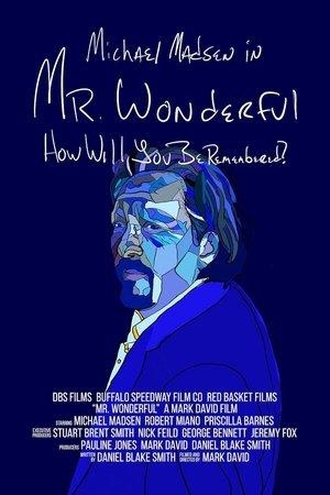 Mr. Wonderful streaming