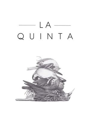 La quinta streaming