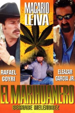 El marihuanero streaming