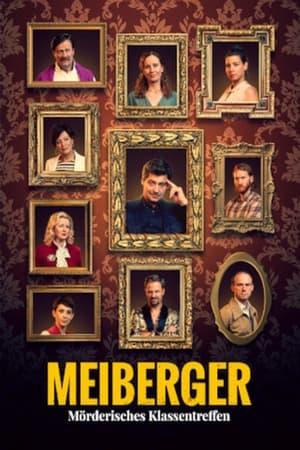 Meiberger - Mörderisches Klassentreffen streaming