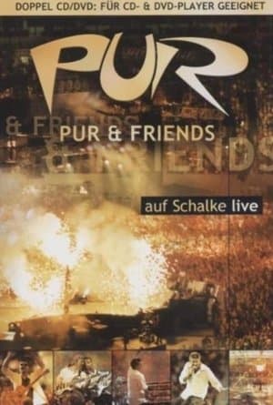 PUR & Friends auf Schalke live streaming