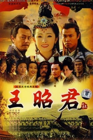 Wang Zhaojun streaming