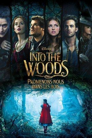 Into the Woods : Promenons-nous dans les bois streaming