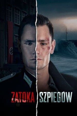 The Bay of Spies streaming