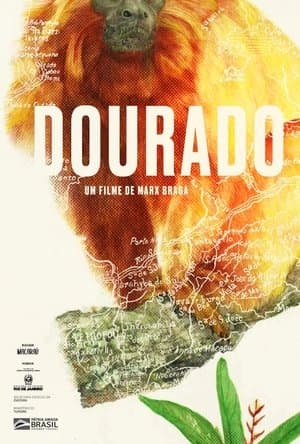 Dourado streaming