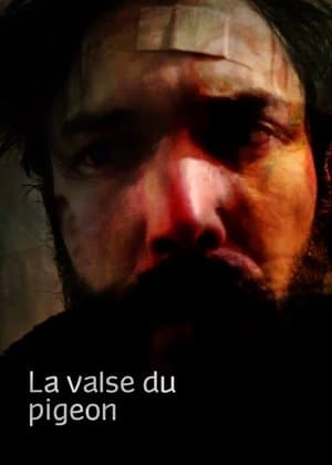 La valse du pigeon streaming