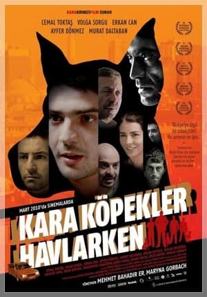 Kara Köpekler Havlarken streaming