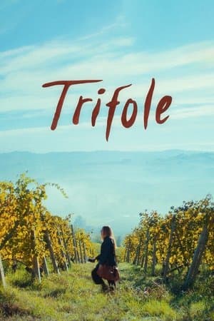 Trifole streaming