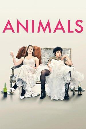 Animals streaming
