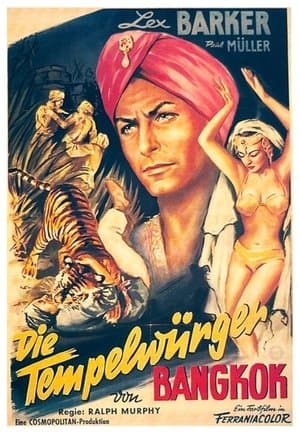 Mystery of the Black Jungle streaming