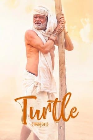 Turtle streaming
