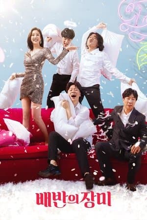 배반의 장미 streaming