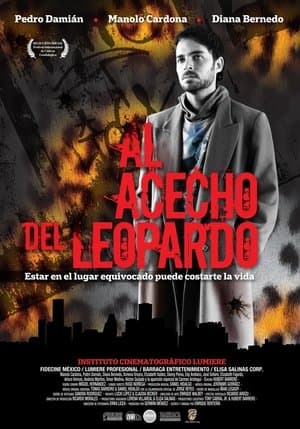 Al acecho del leopardo streaming