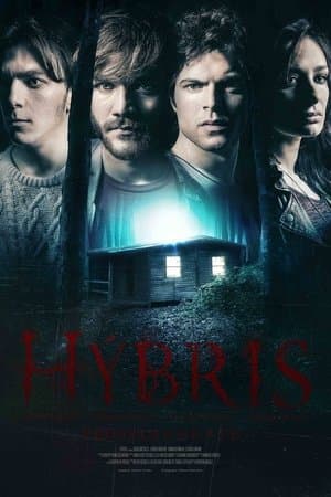 Hybris streaming