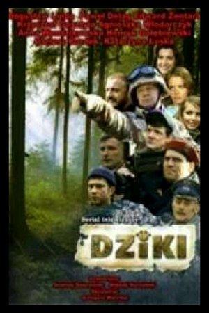 Dziki streaming