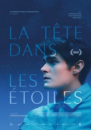 La tête dans les étoiles streaming