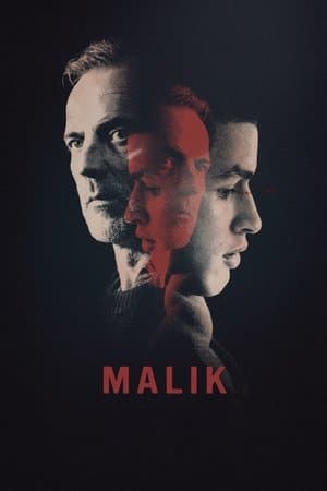 Malik streaming