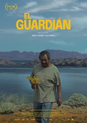 The Guardian streaming