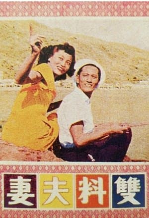 双料夫妻 streaming