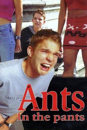 Ants in the Pants streaming
