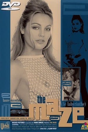 The Maze streaming