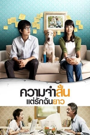 ความจำสั้น แต่รักฉันยาว streaming