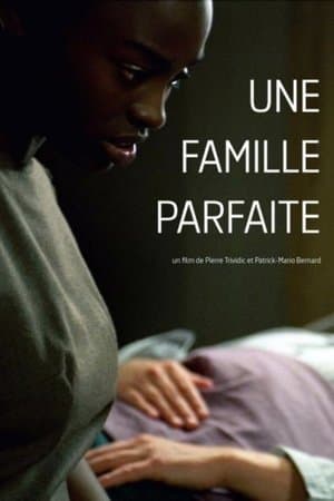 Une famille parfaite streaming