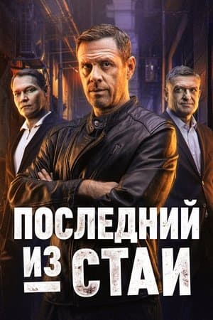 Последний из стаи streaming