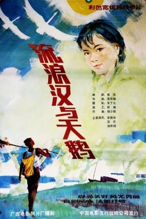 流浪汉与天鹅 streaming