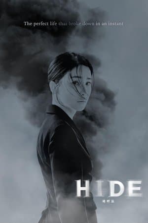 HIDE streaming