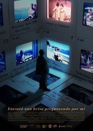 Entrará una brisa preguntando por mí streaming