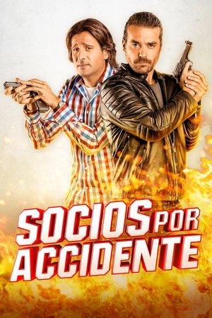Partners By Accident streaming