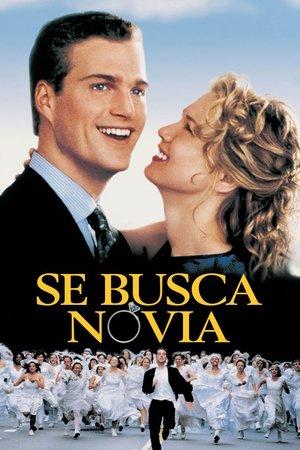 El soltero streaming