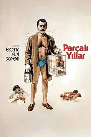 Parçalı Yıllar streaming