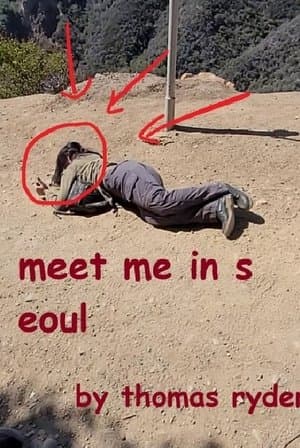 Meet Me In Seoul streaming