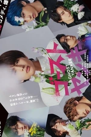 ゴーストヤンキー streaming